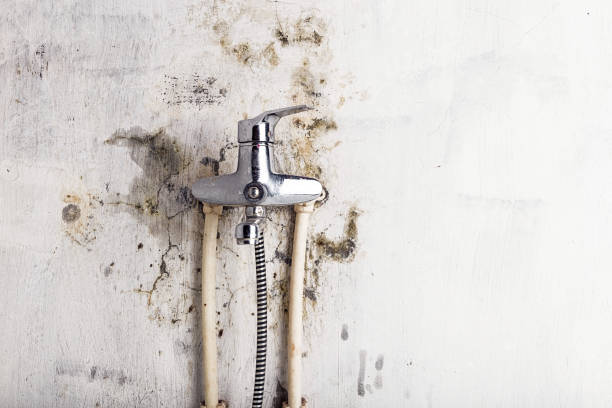 Mold Removal and Inspection in Parlier, CA