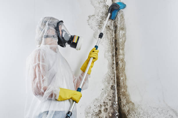 Best Residential Mold Removal  in Parlier, CA