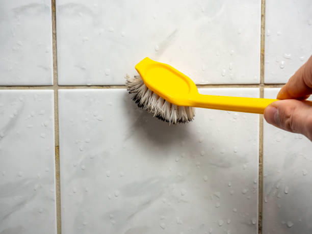 Office Mold Removal Services in Parlier, CA