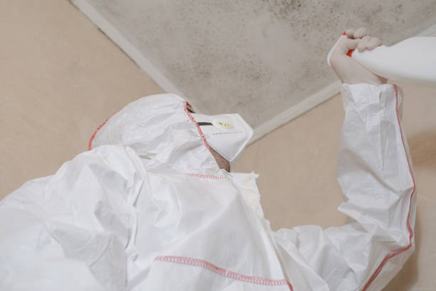 Best Office Mold Removal Services  in Parlier, CA