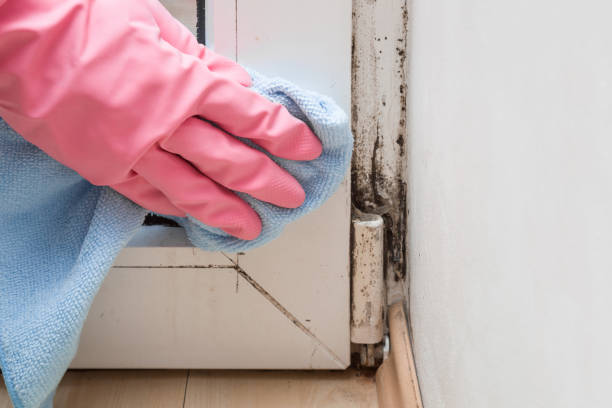 Best Crawl Space Mold Removal  in Parlier, CA